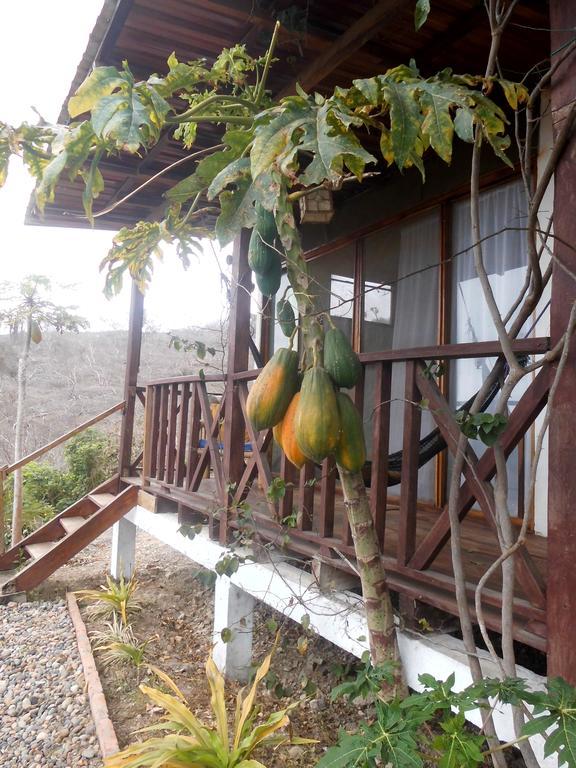 Maremonti Bed & Breakfast Puerto López Kültér fotó