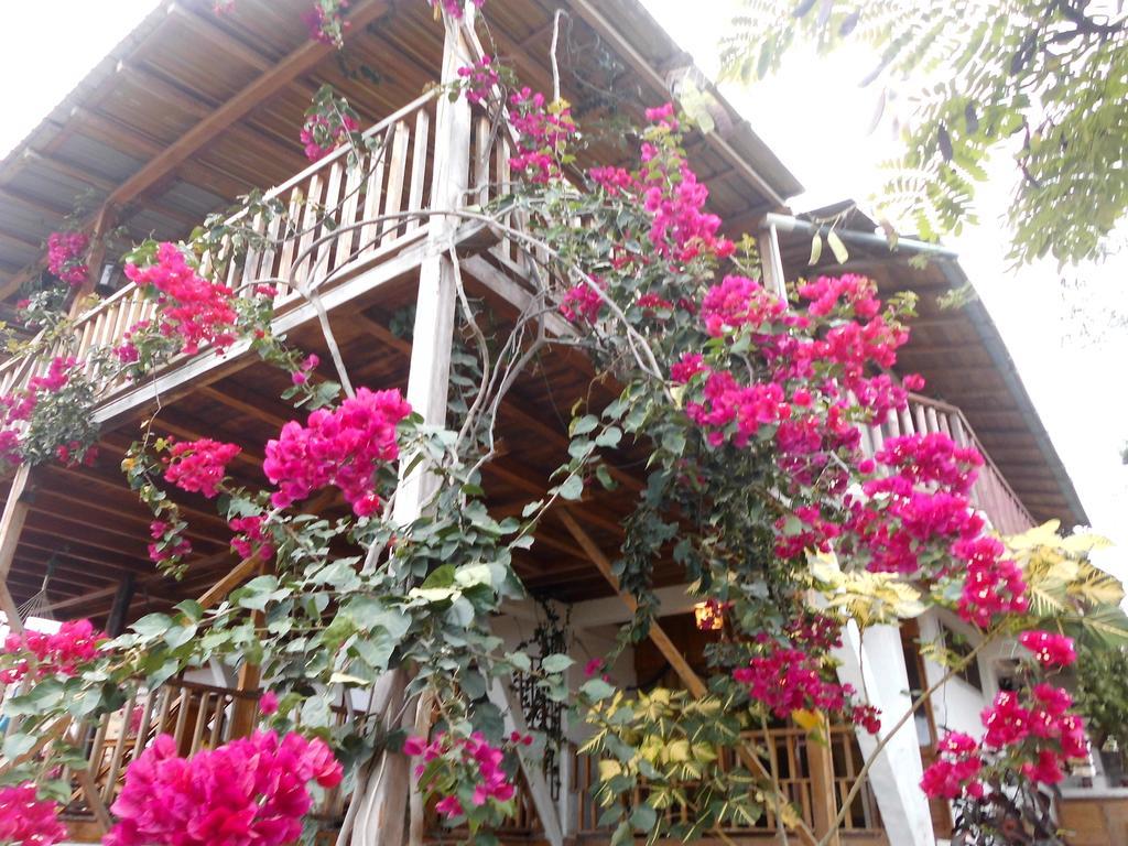Maremonti Bed & Breakfast Puerto López Kültér fotó
