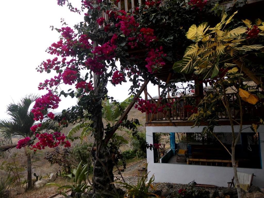 Maremonti Bed & Breakfast Puerto López Kültér fotó