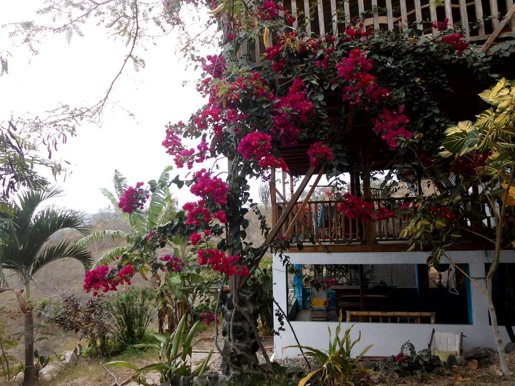 Maremonti Bed & Breakfast Puerto López Kültér fotó