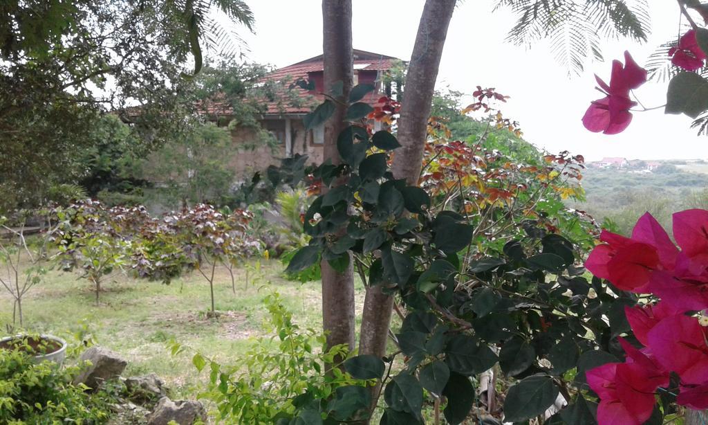 Maremonti Bed & Breakfast Puerto López Kültér fotó