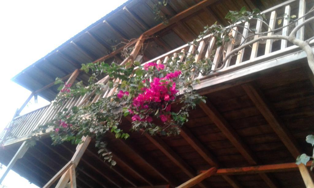 Maremonti Bed & Breakfast Puerto López Kültér fotó